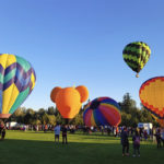 Homepage-3
